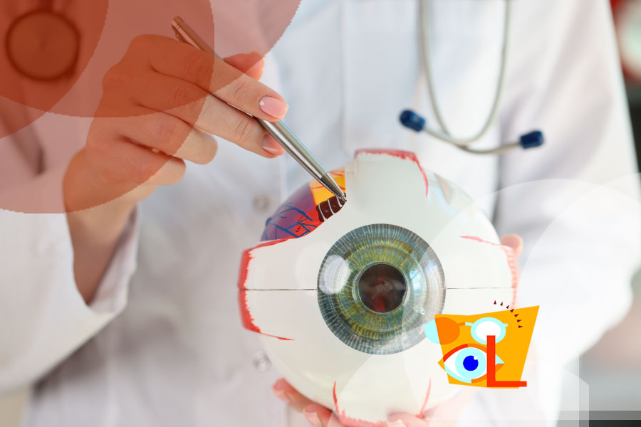 Asesoramiento cuidado ocular | Óptica la Luz Cuenca